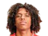 https://img.scyafeng.com/img/football/player/135ad8787fd13961a93e165e79e736ff.png