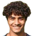 https://img.scyafeng.com/img/football/player/1e4ec0f87ec12d1a57199197bb193cf8.png