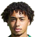 https://img.scyafeng.com/img/football/player/347a6d58ae7ec0425a4d42bc9215c411.png