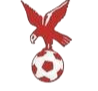 https://img.scyafeng.com/img/football/team/4802d26df935b78bb2fcdbbff36e8864.png