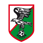 https://img.scyafeng.com/img/football/team/e6a8908dd206e2ea02d9803c82c60bba.png